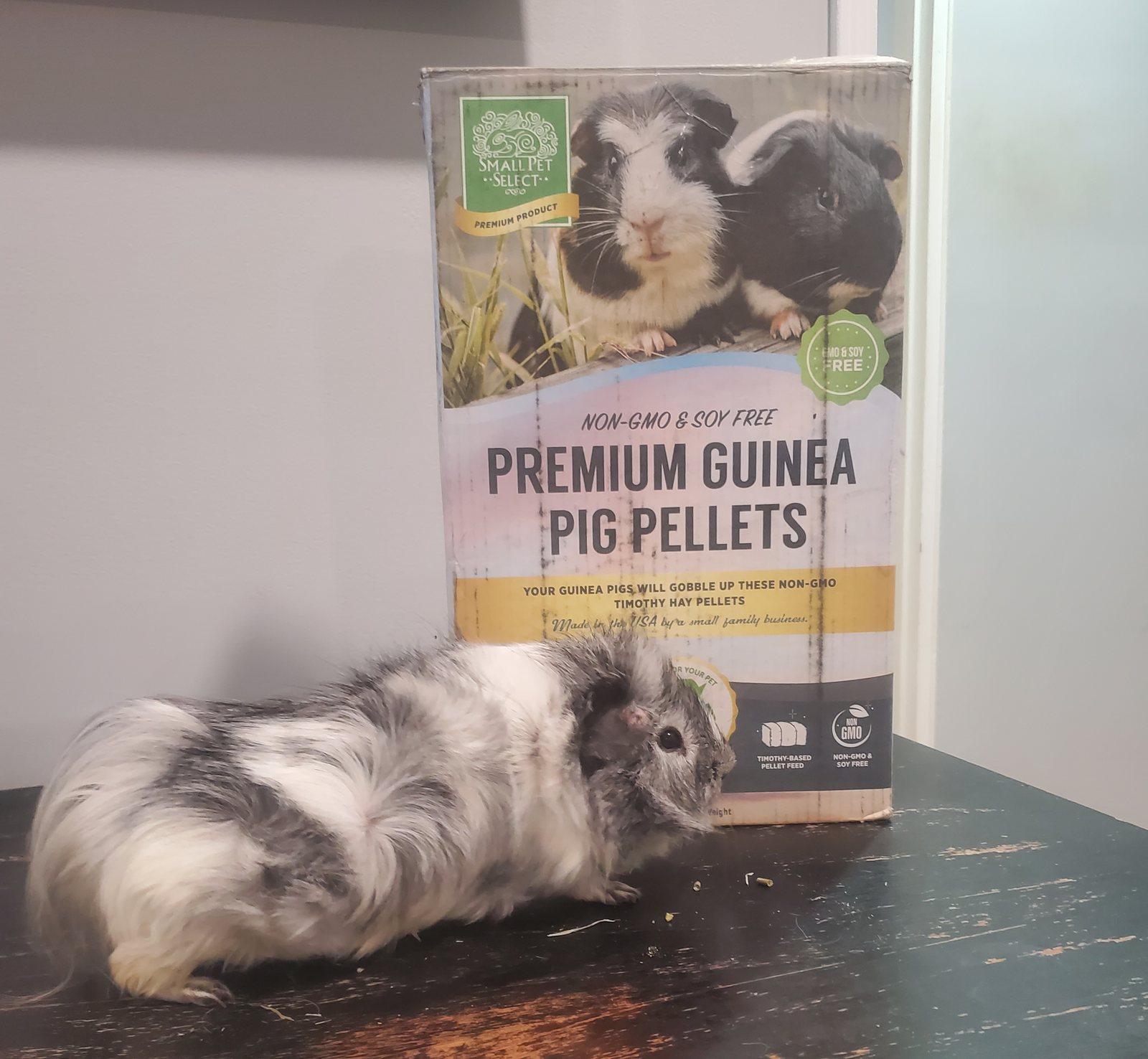 Small Pet Select-Premium Guinea Pig Pellet Food